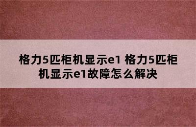 格力5匹柜机显示e1 格力5匹柜机显示e1故障怎么解决